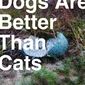 Analog Rebellion - Dogs Are Better Than Cats Cover Art